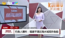 福建海鲜爆料视频播放网站,热门视频网站带你领略海鲜美食盛宴